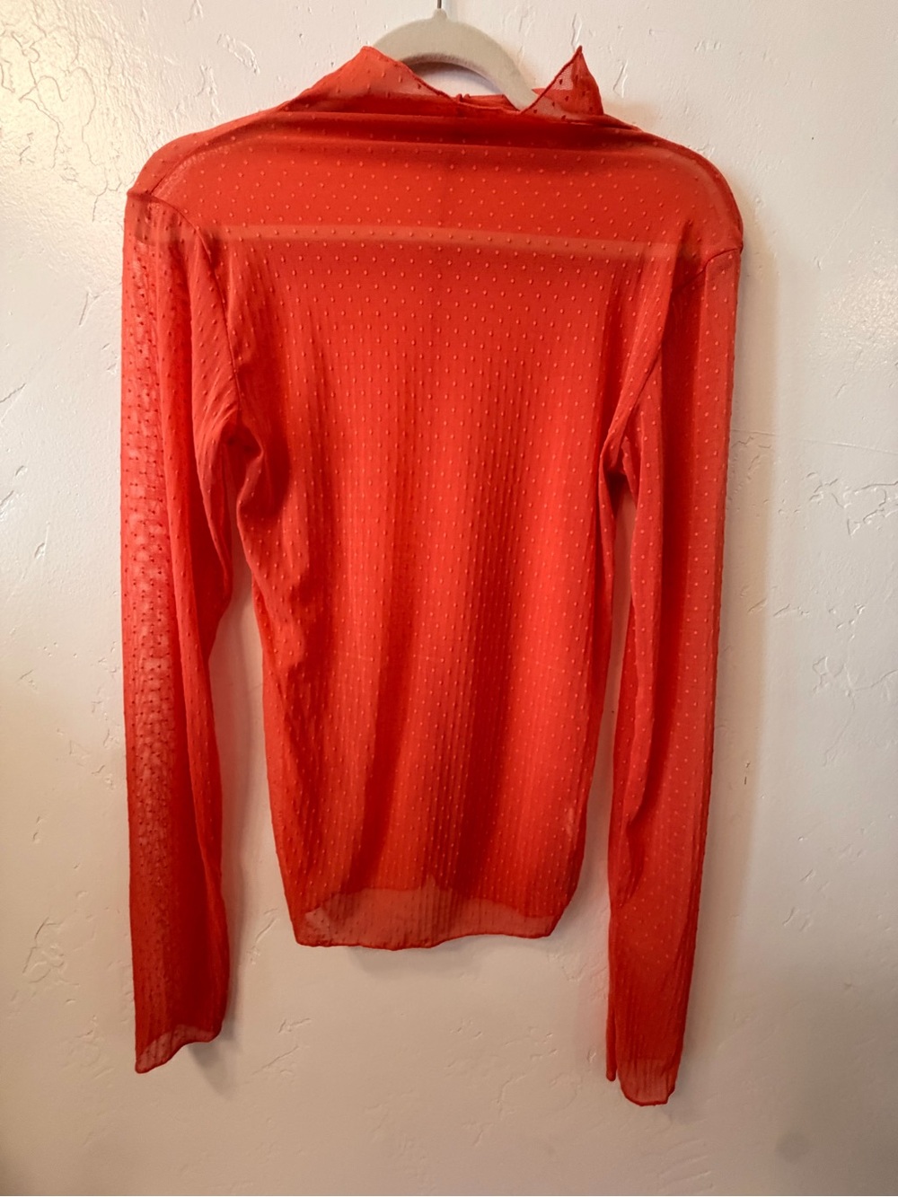 Free People Women's Sheer Long-Sleeve mock neck top